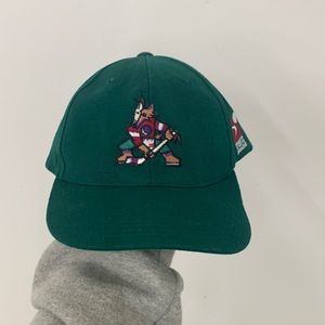 Sports Specialties phoenix coyotes youth hat